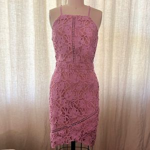 Greylin XS Lavender Lace Dress NWT
